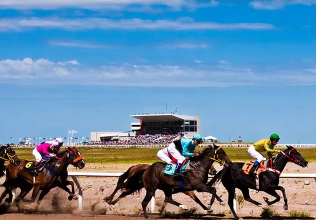 Bureau San Luis - Sedes Deportivas - HIPODROMO LA PUNTA